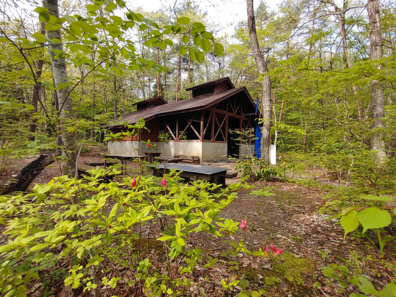 Hiratsuka ・ Hanamaki Kouryuu Forest