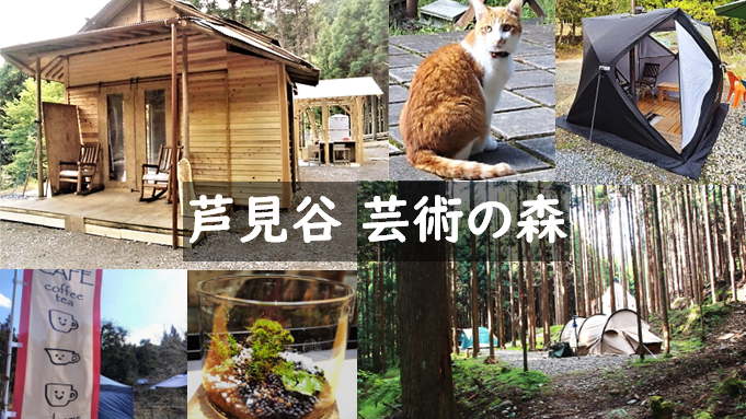 Rừng Ashi Mitani Geijutsu