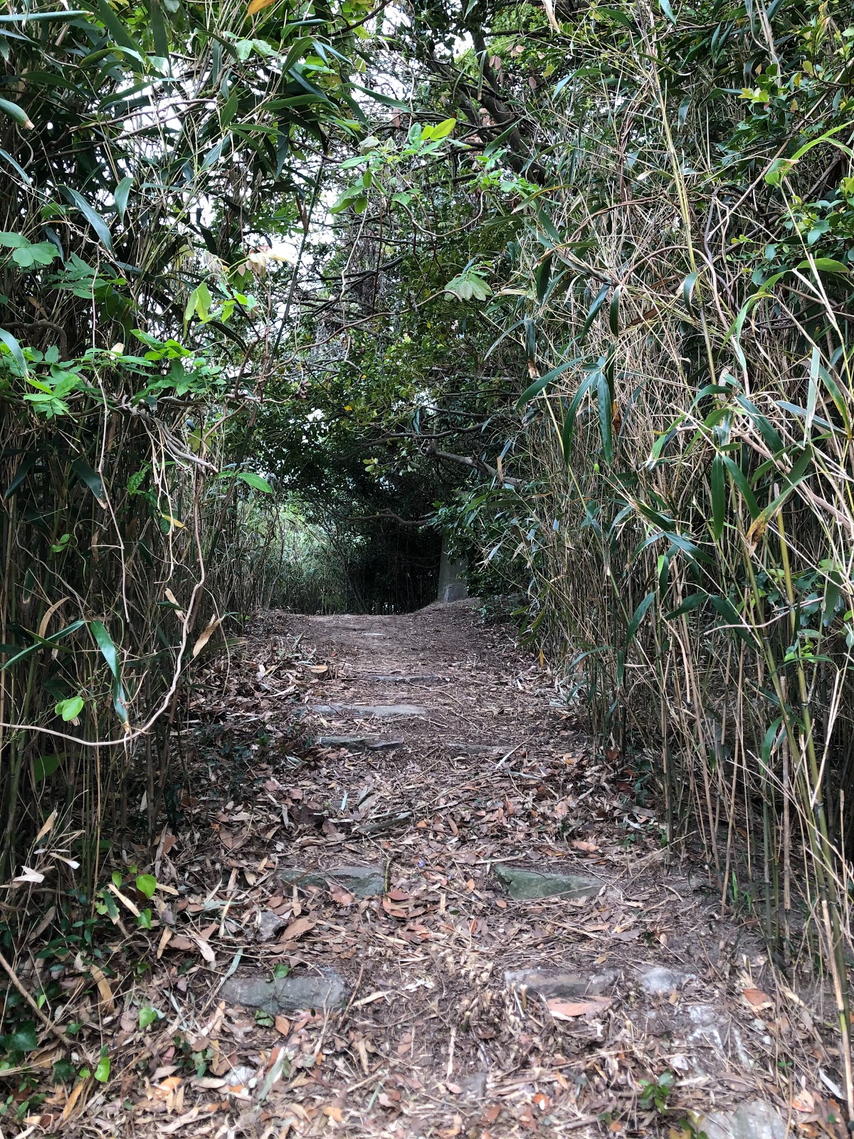 Khu cắm trại Shiga Shima Riêng tư 「Shikanoteppen」