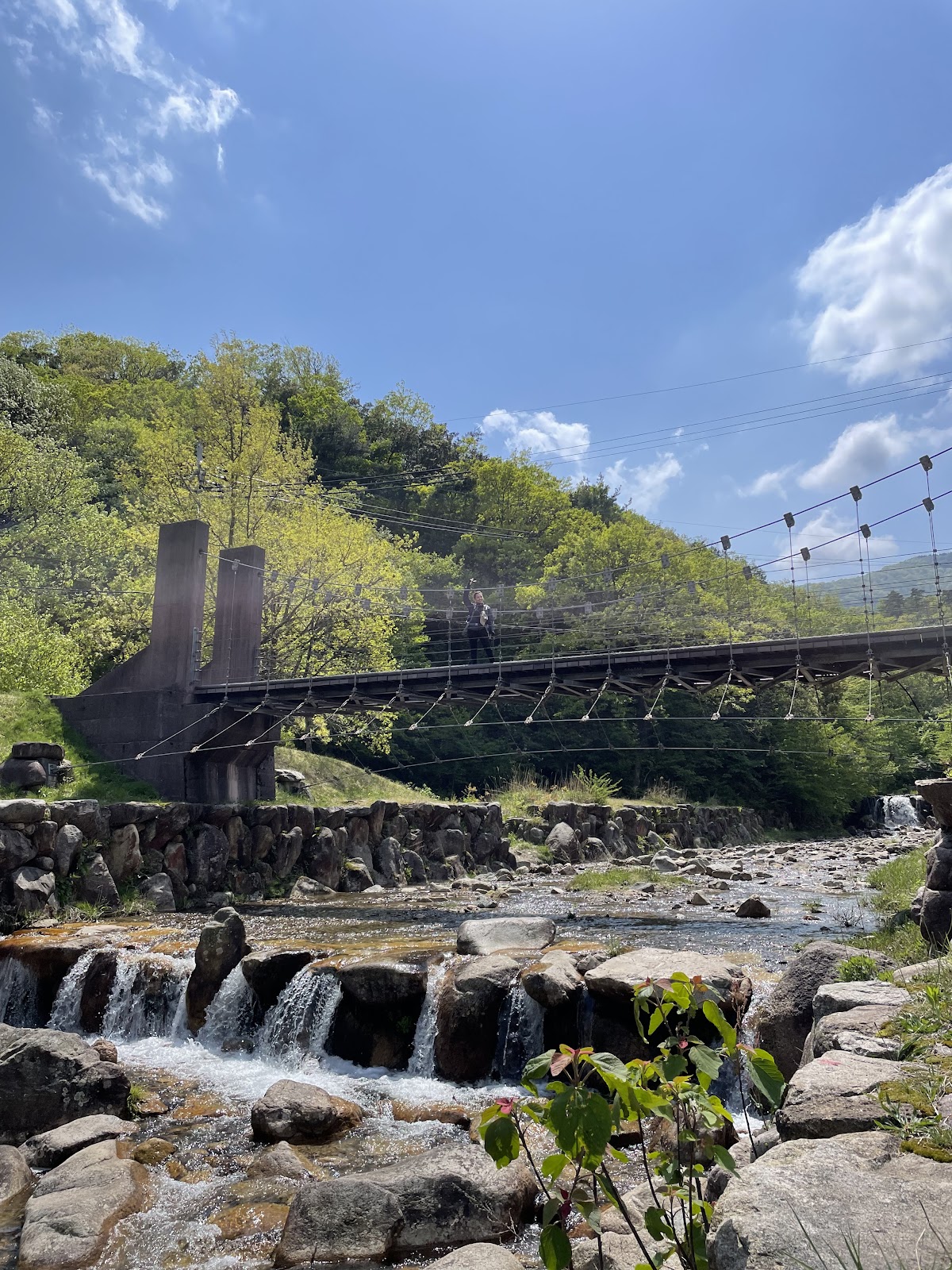 マキノ高原キャンプ場 川サイト