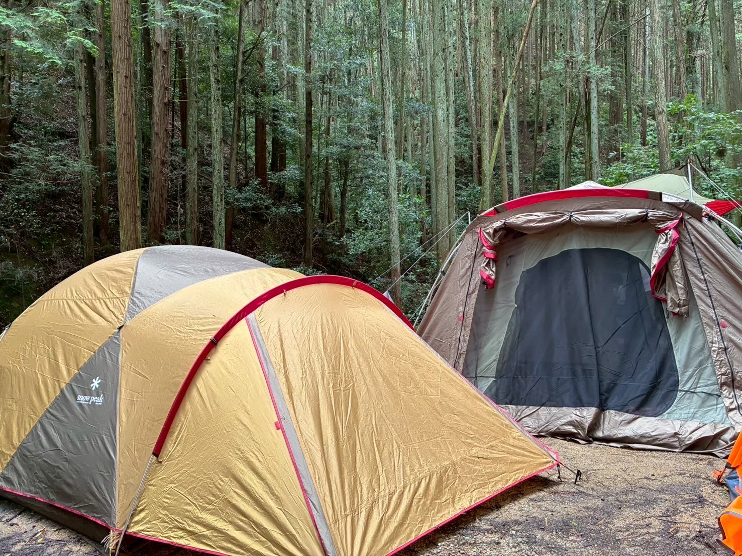 大阪府立少年自然の家 木立の広場