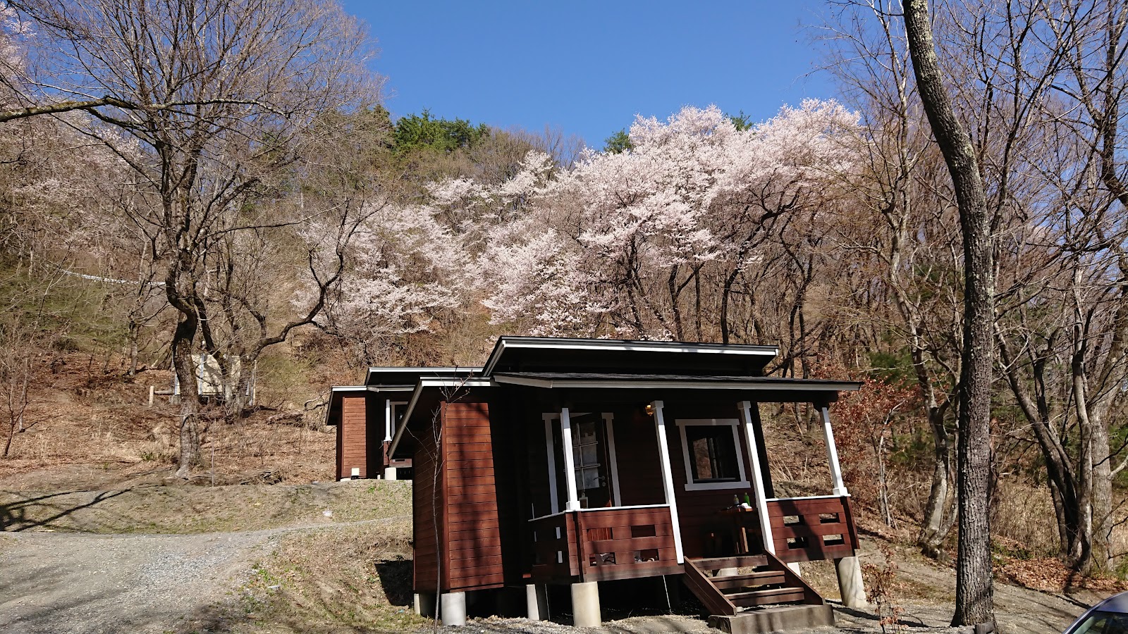 Foresters Village Kobitto