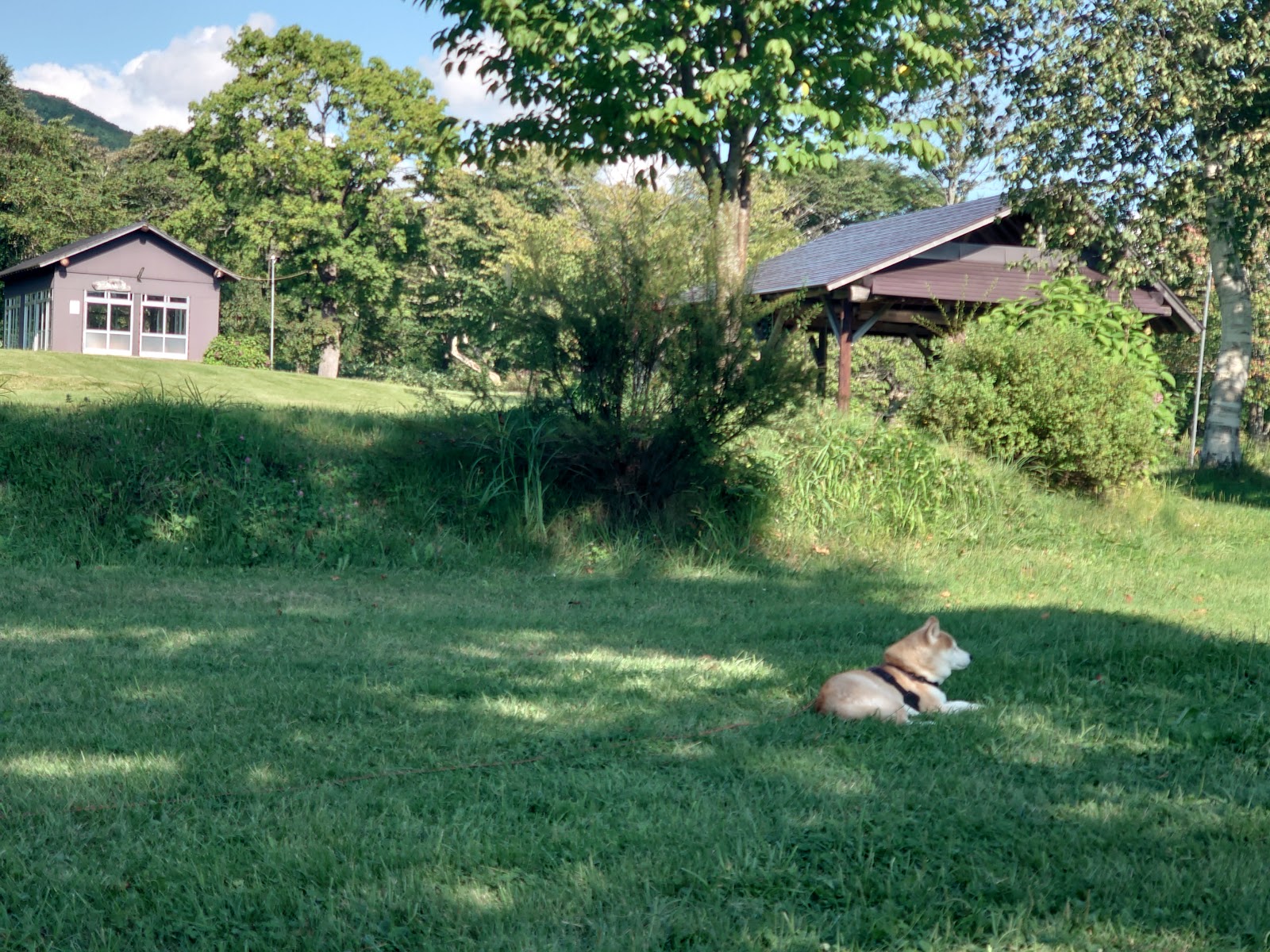 リゾートインみちのくキャンプ場