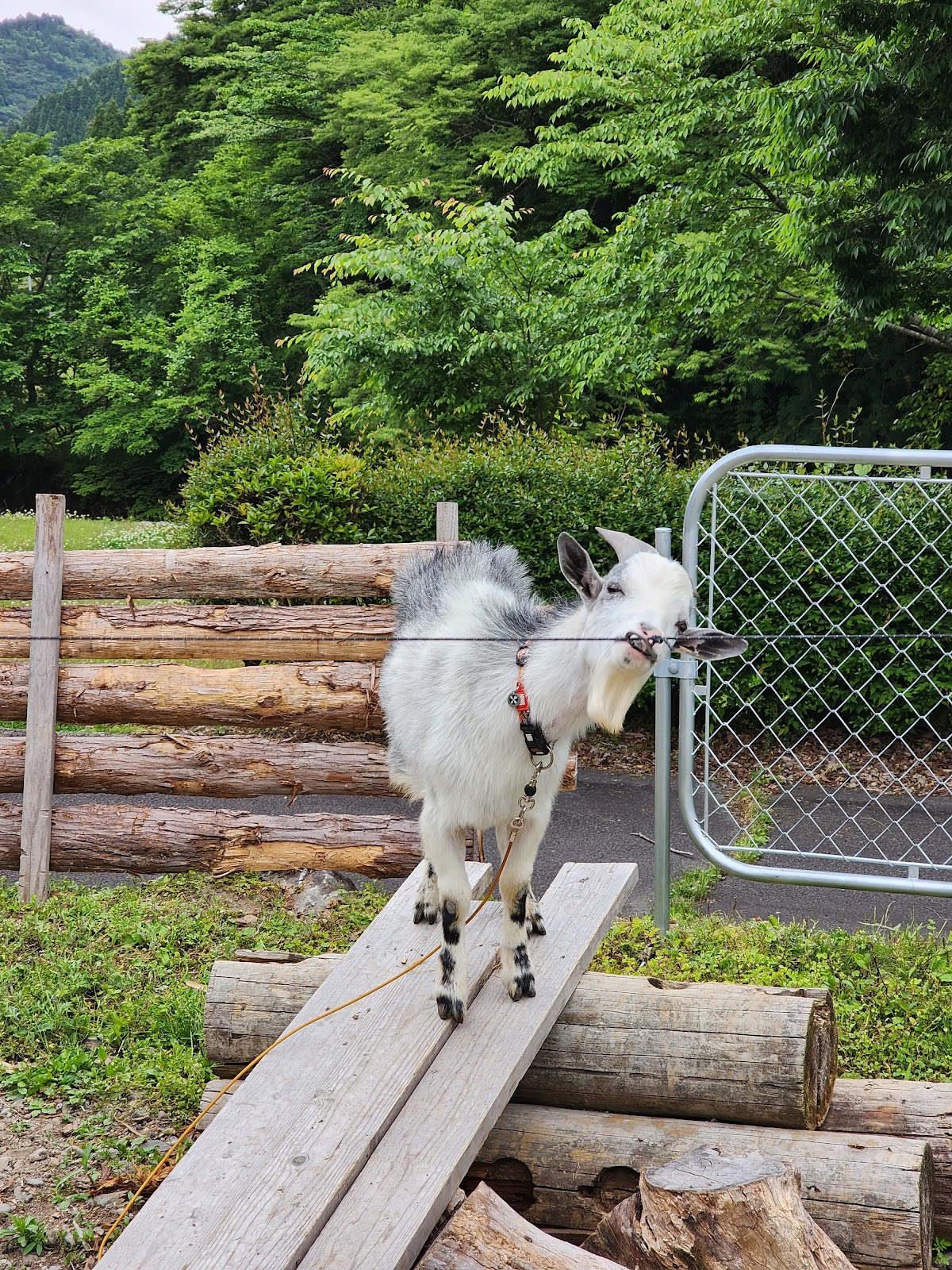 camp&cafe@redstarworks