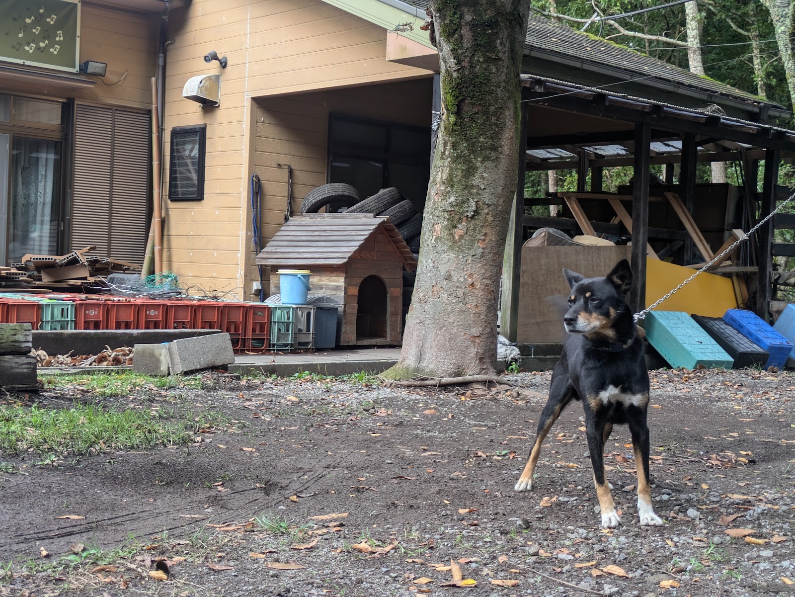 Cắm trại Yufuin Kuriauootaa Myuujikku Khu vực