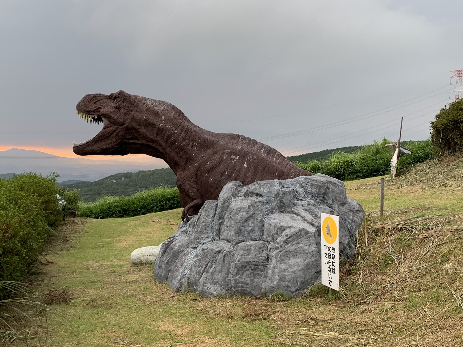Kichi Mu Ta Cao nguyên 「Midori No Mura」