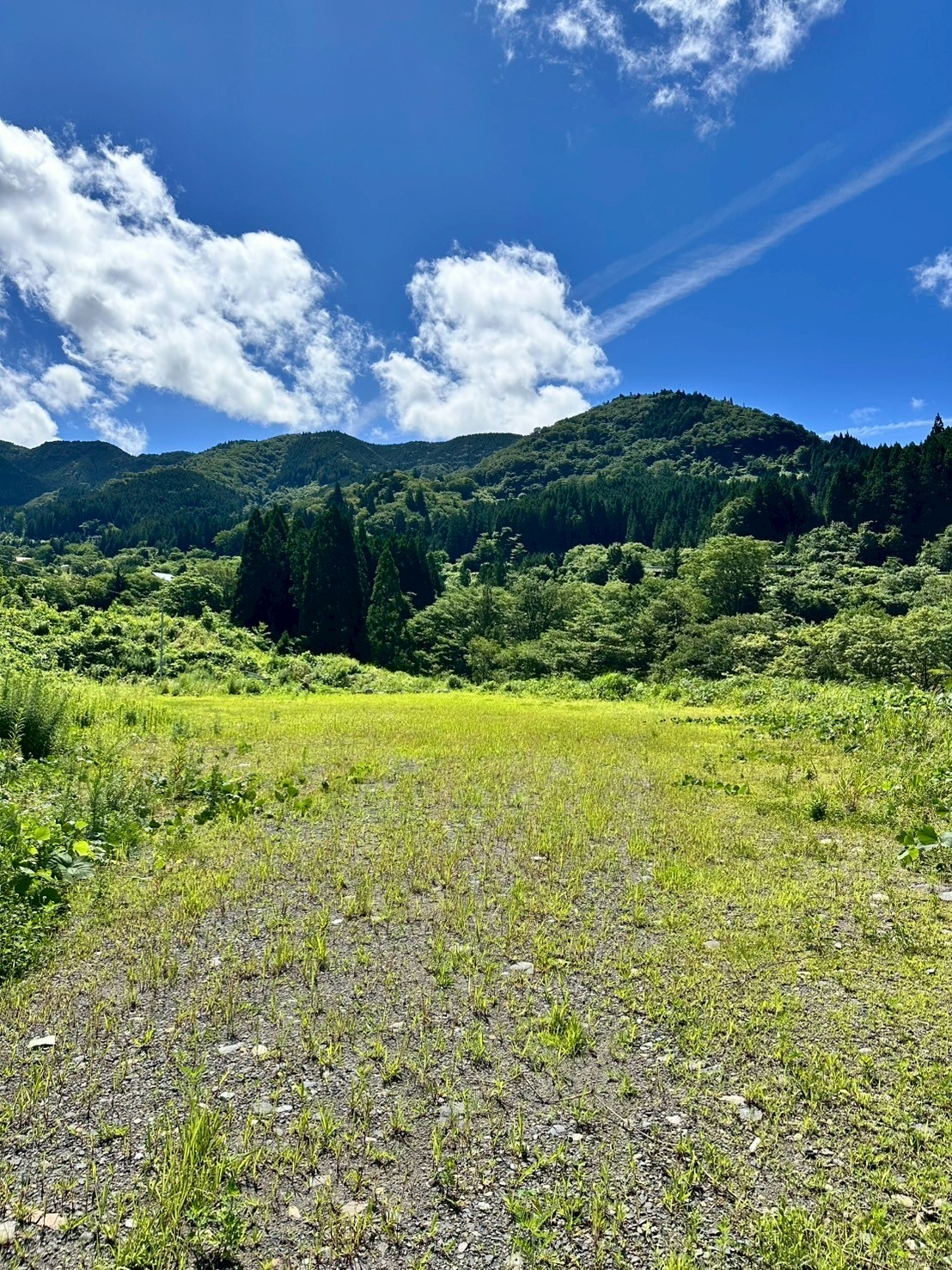 SHIROTORI CAMP BASE Yuragi