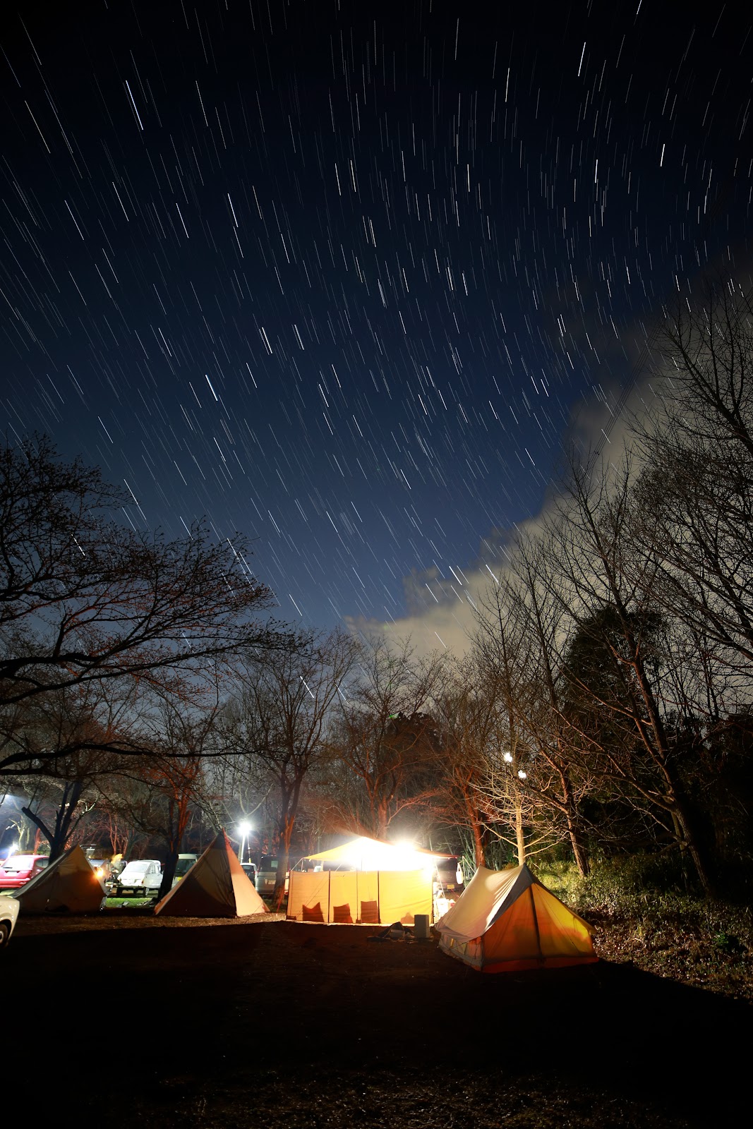 Roku - Forest Ooto Site