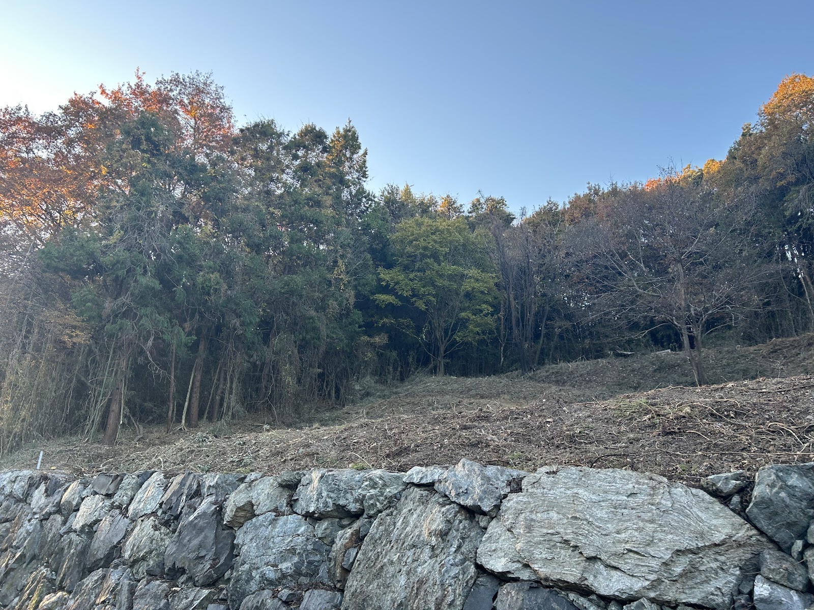 forenta 嵐山キャンプエリア