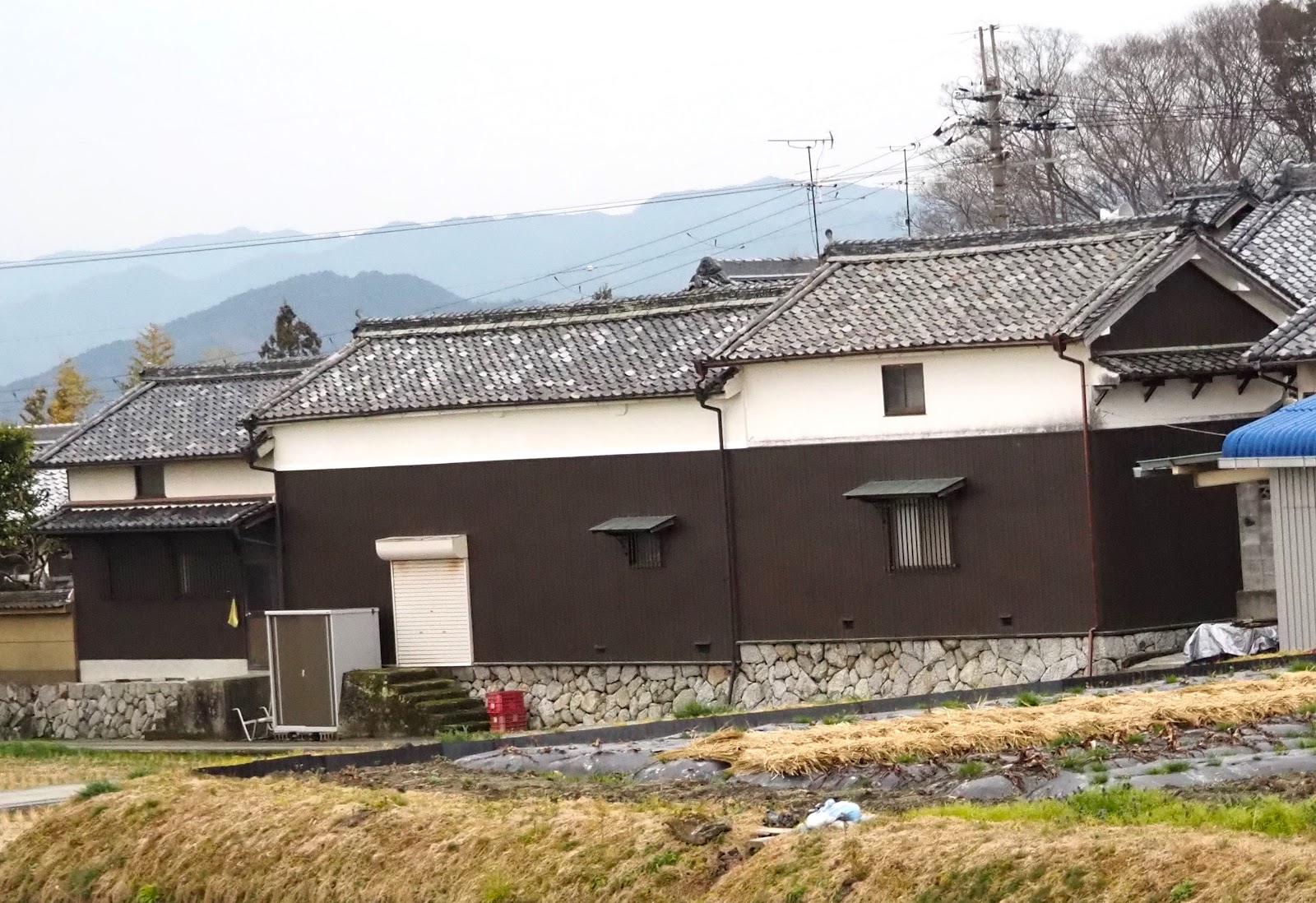 Bush Camp Site 千代酒造