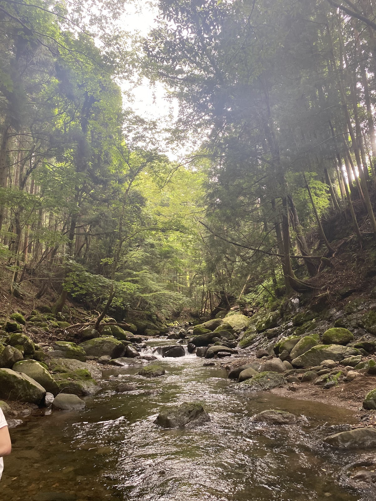 清川リバーランド