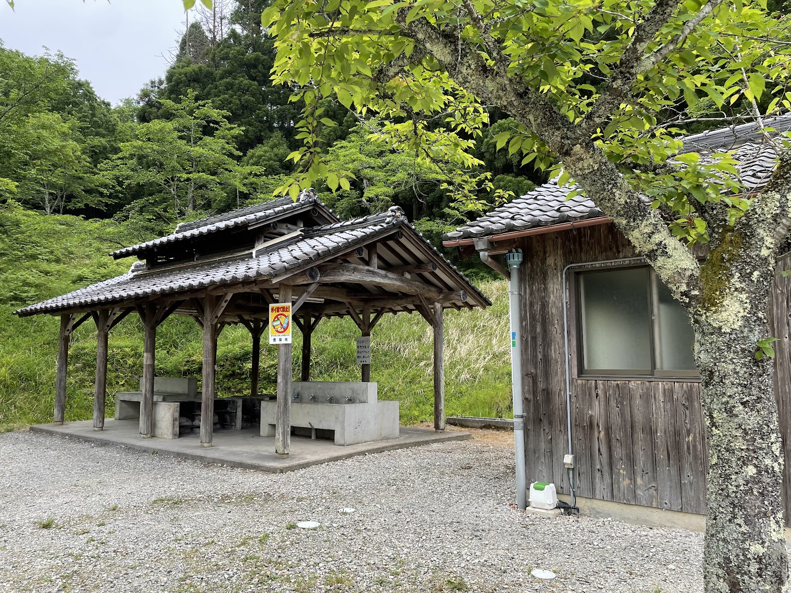 Khu cắm trại Toyooka Shidai Shi Yama Thiên nhiên Công viên