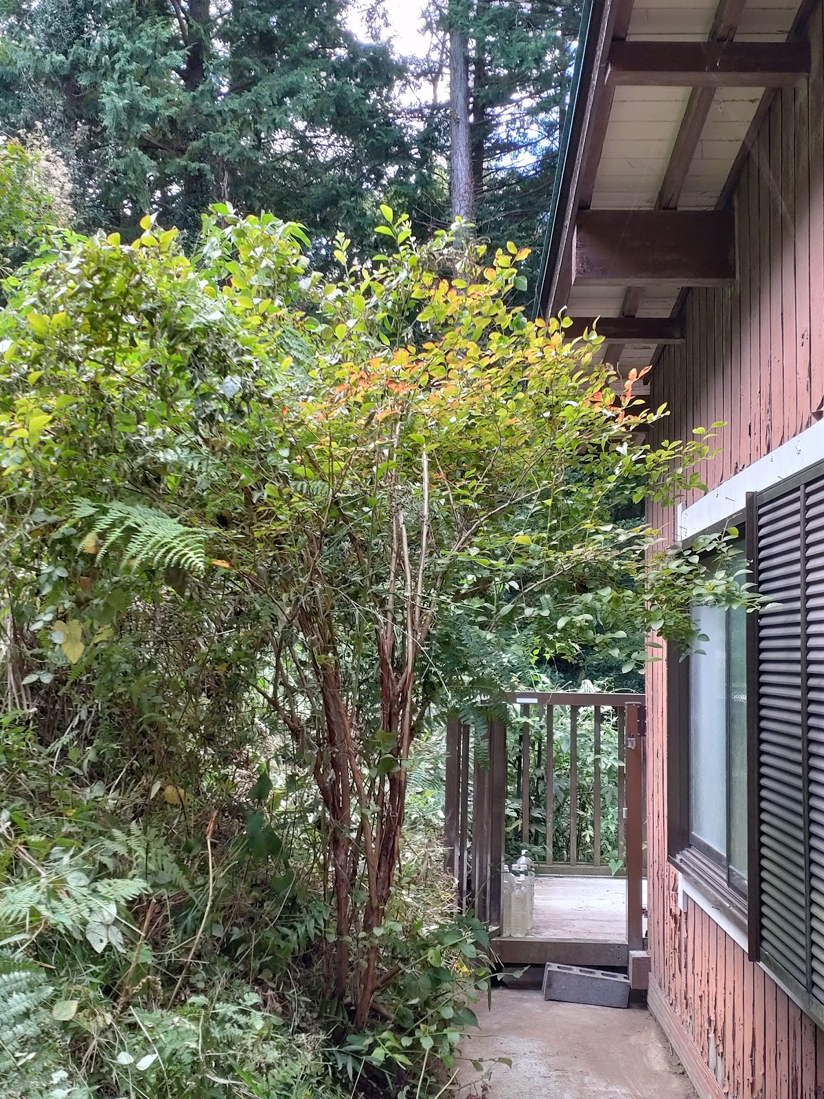 Khu cắm trại Emetan