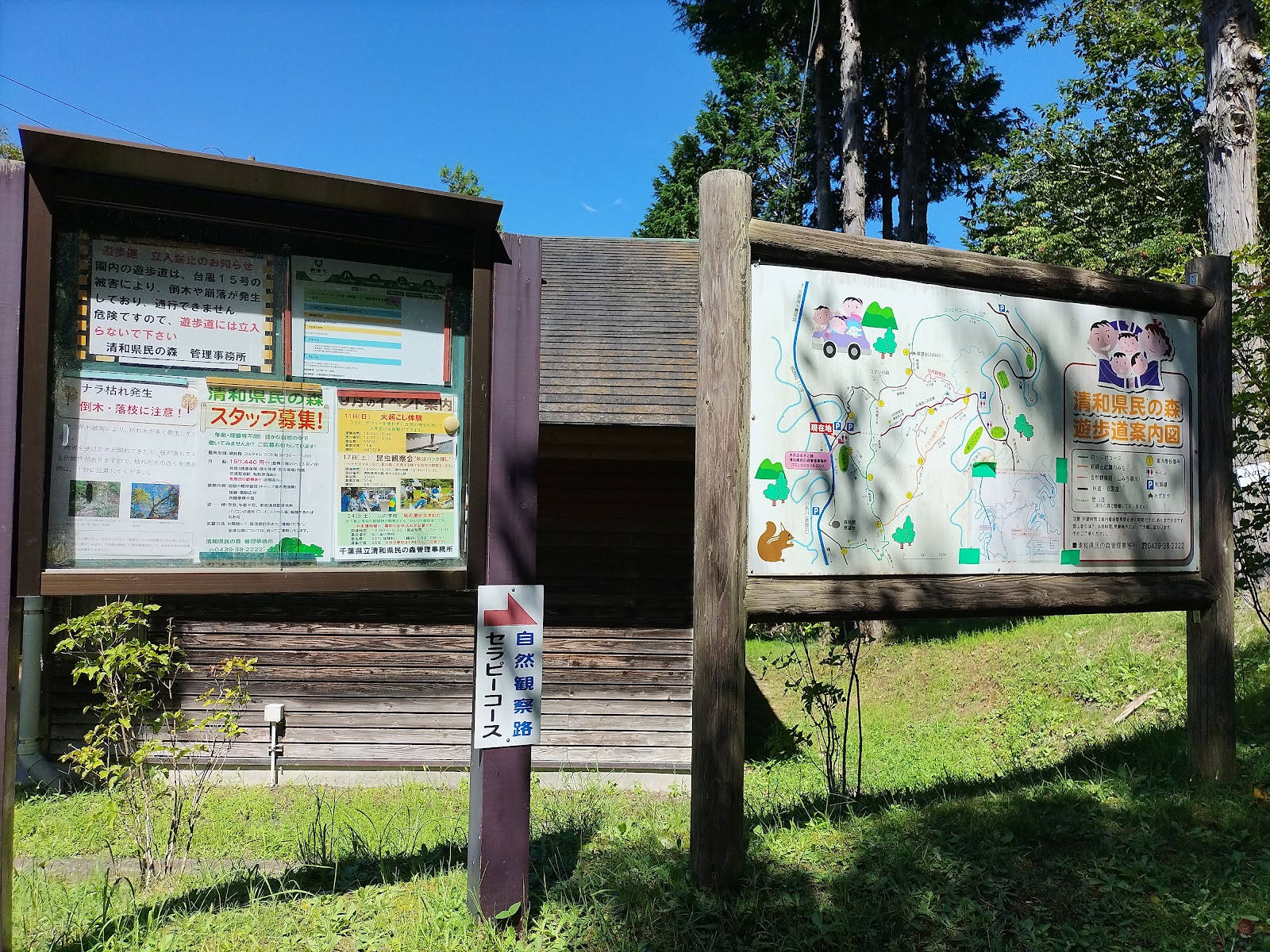 Kenritsu Kiyokazu Kenmin Forest Kanrijimusho Ki Nofurusato Kan