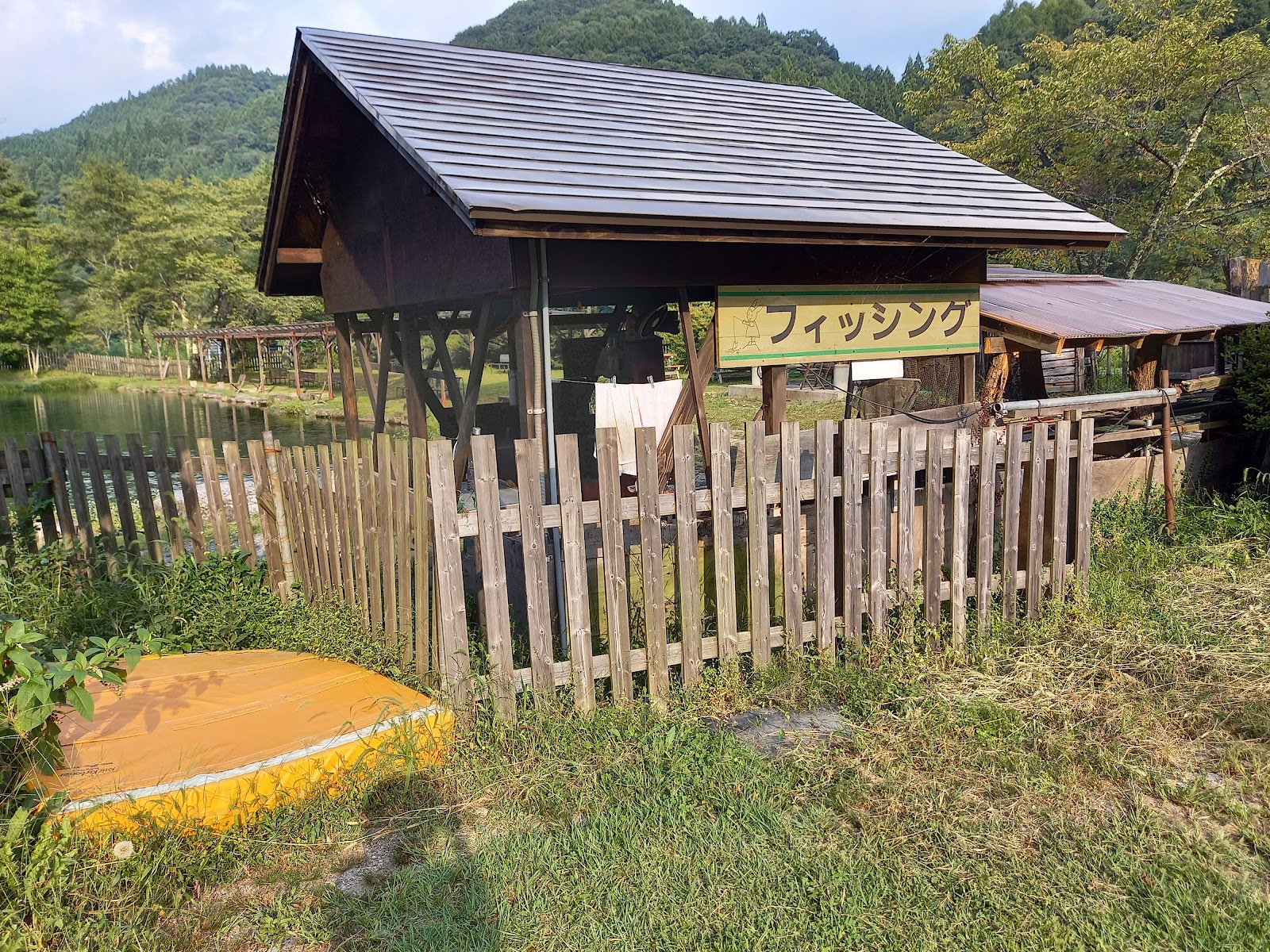 Khu cắm trại Hakuba Guriinsupootsu Rừng