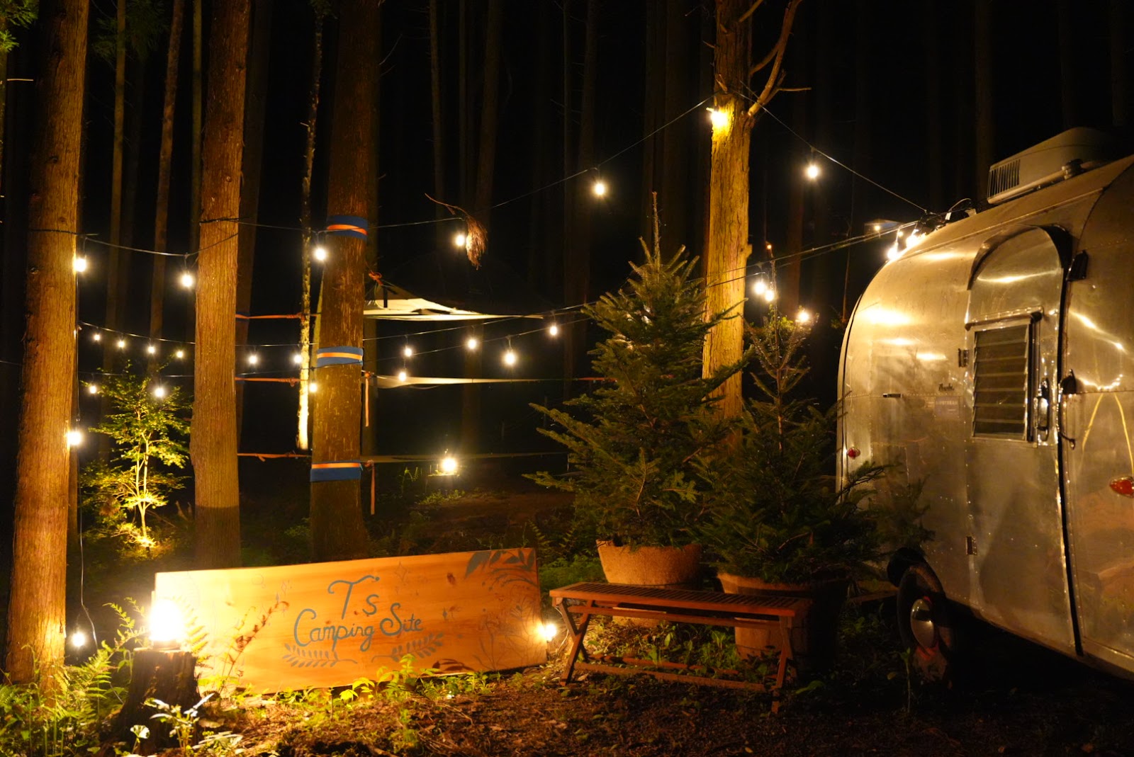 T’s Camping Site Teiizukyanpingu Site