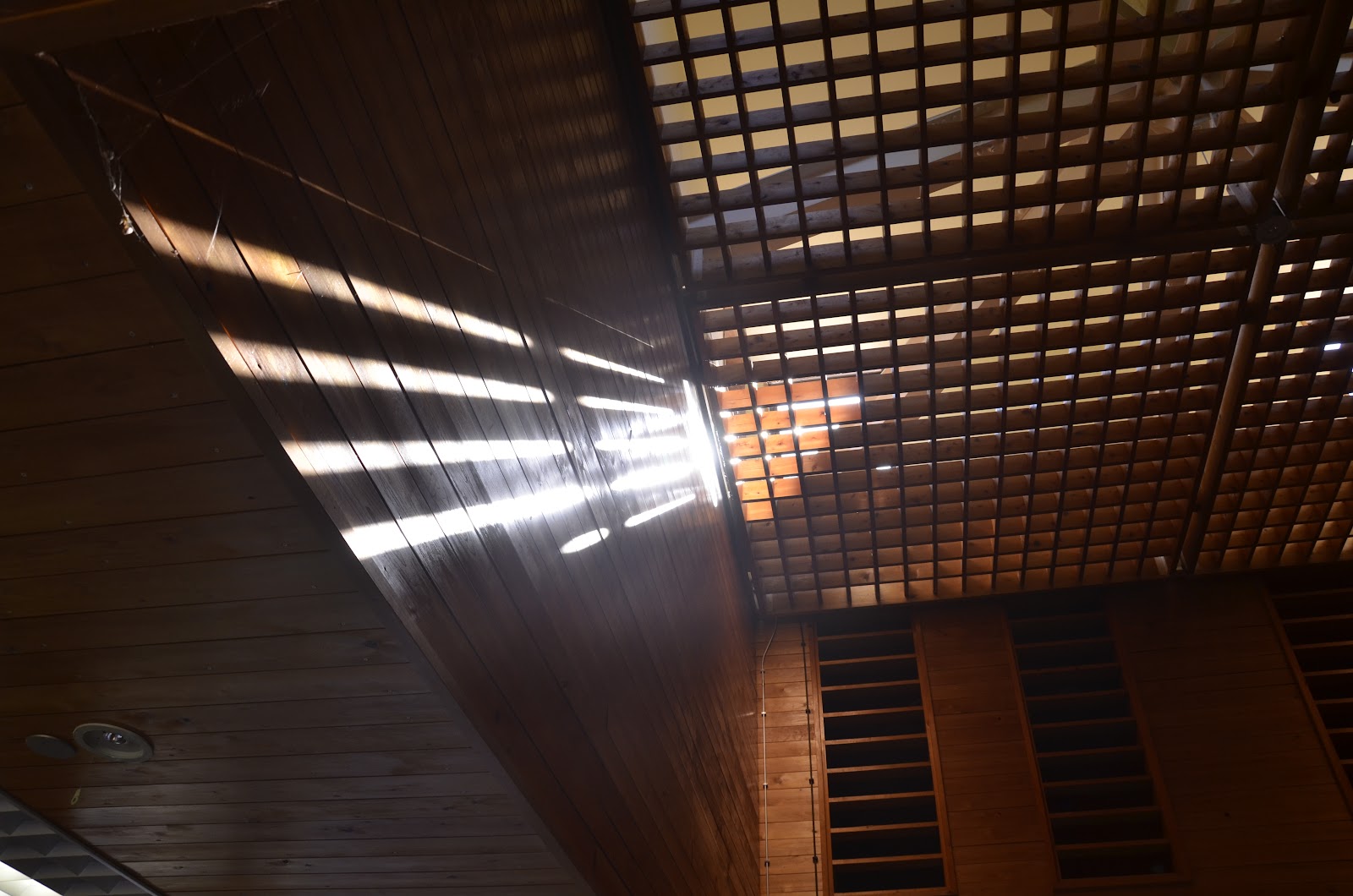 Yamanashiken Ritsu Takeda No Mori Hoken Kyuuyou Hayashi Kenkou Forest Saabisu Center