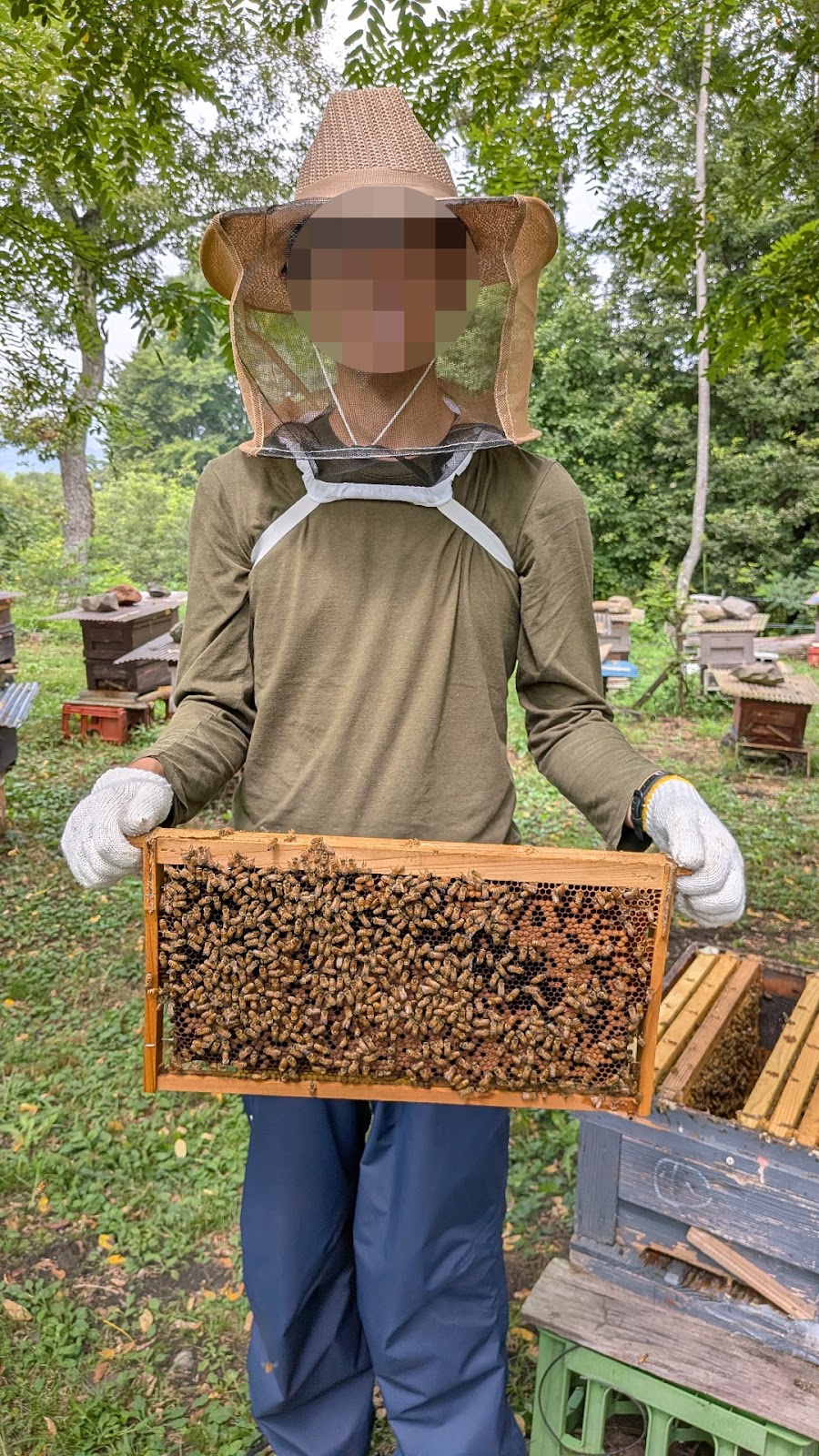 Khu cắm trại xe hơi Tsumagoi Bii Vườn