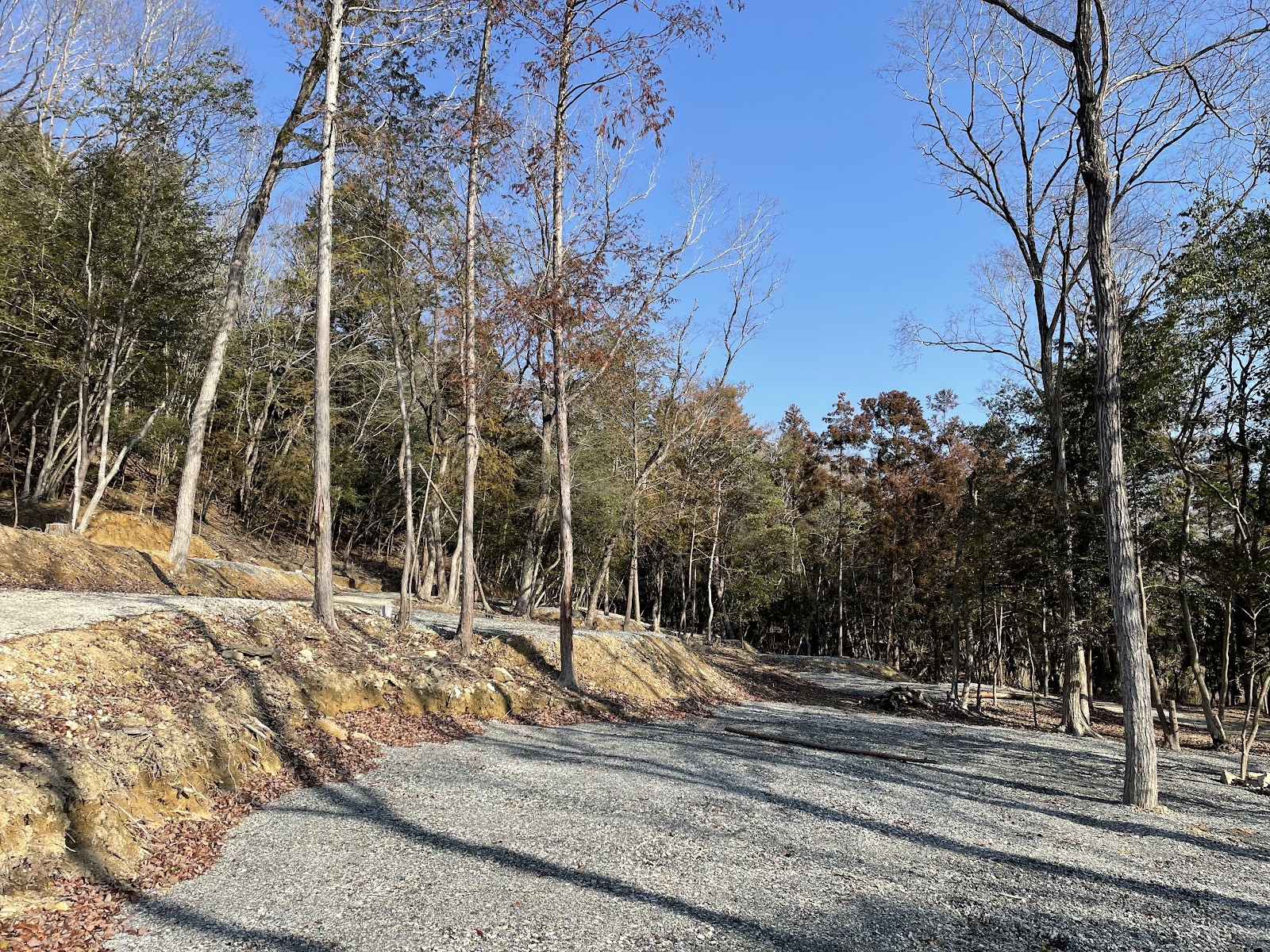 WOODS BASE NISHIWAKI