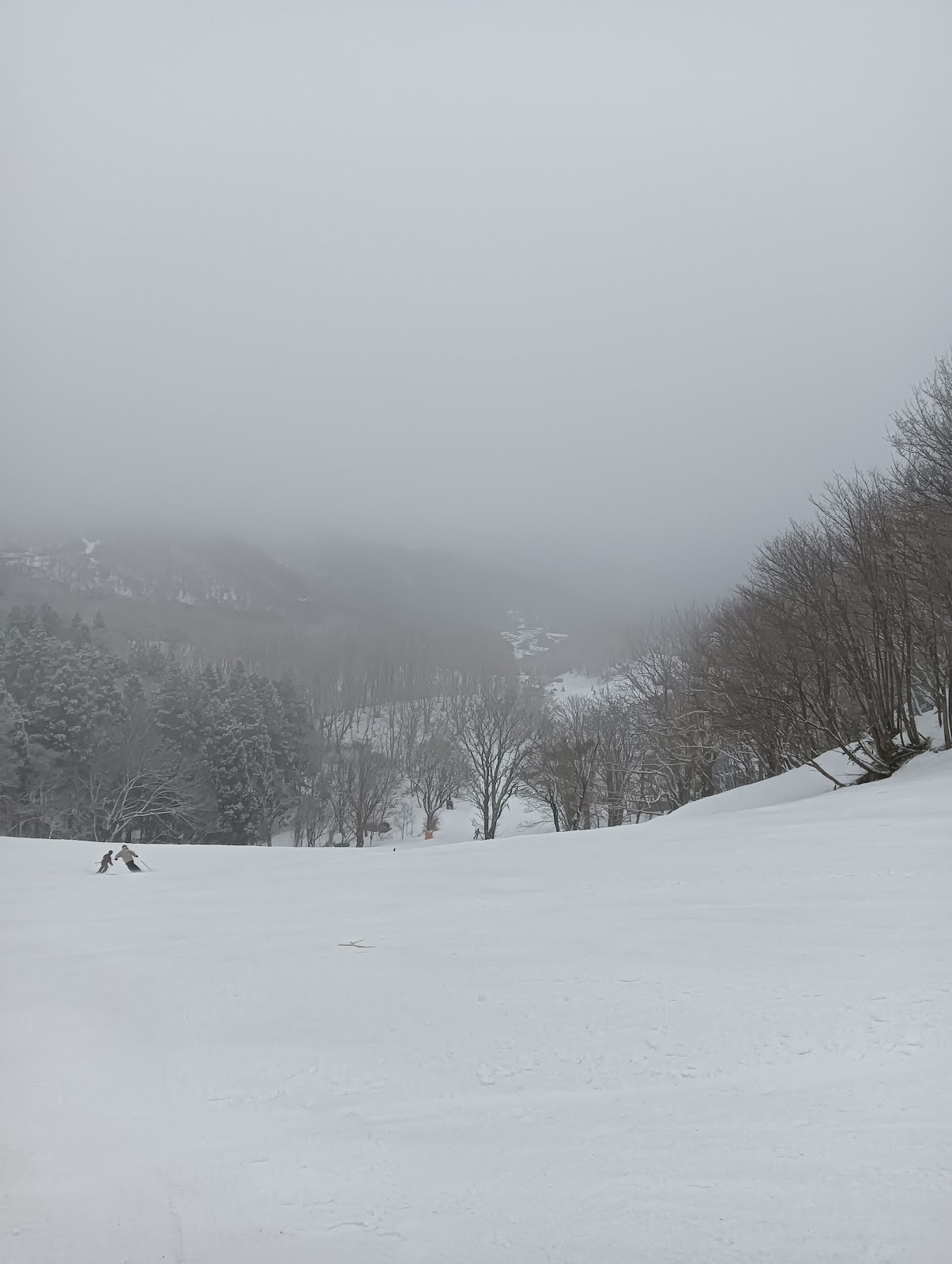 Khu trượt tuyết Hachi Kita Gerende Chuushajou