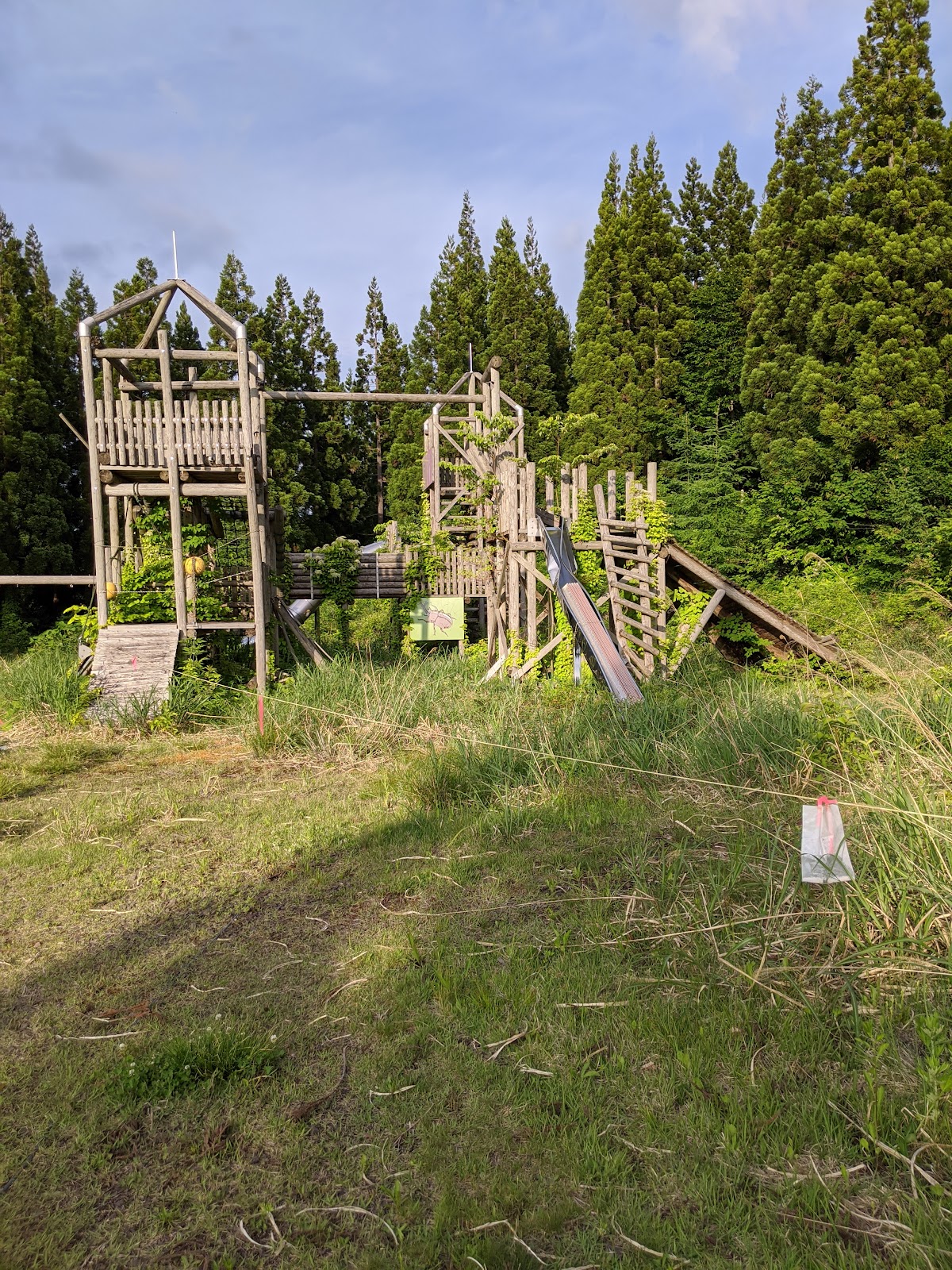 Khu cắm trại Yousei Rừng