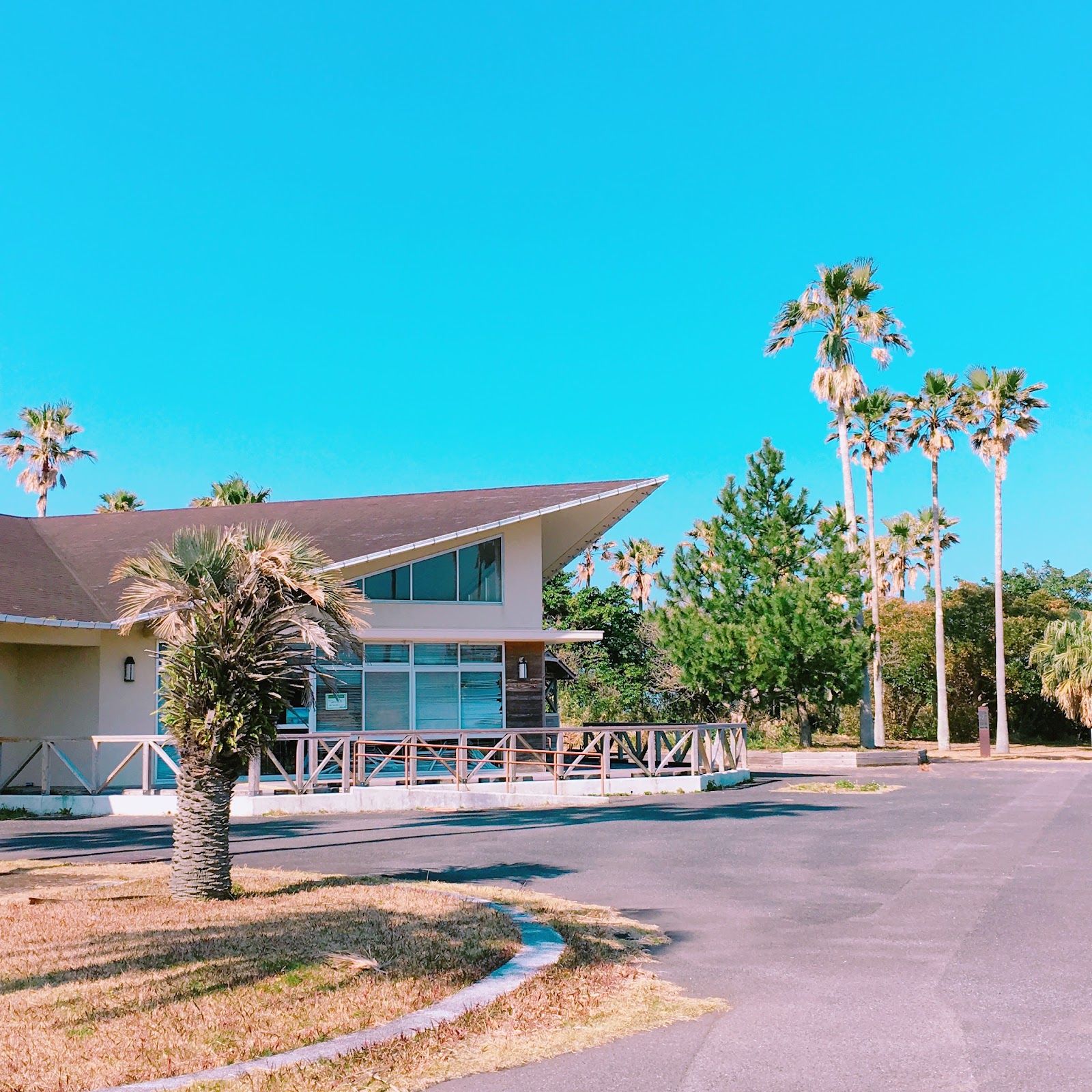 Ibusuki Eko Campground