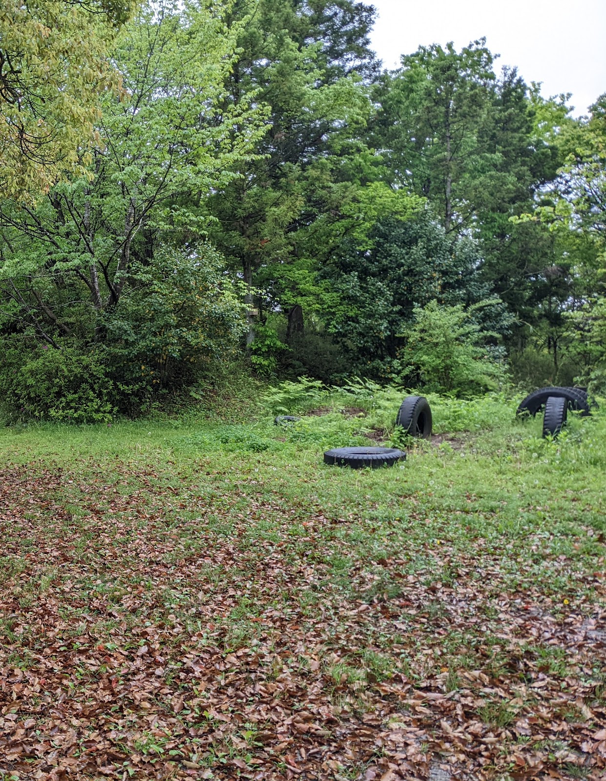 Booisukauto Tokyo Renmei Adachi８Danno Ei Ba