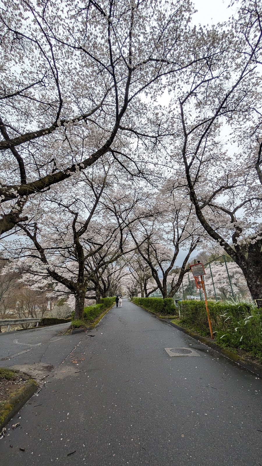 Yoda Setsu Park Campground