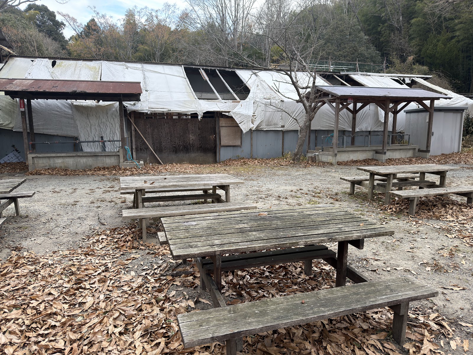 平城野外活動研修センター(キャンプ場)