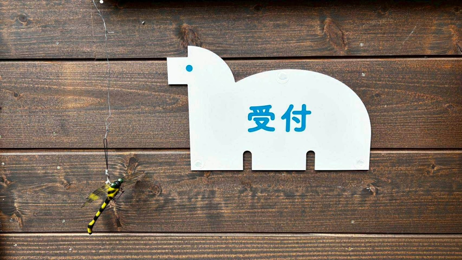 Khu cắm trại maze camp Maze