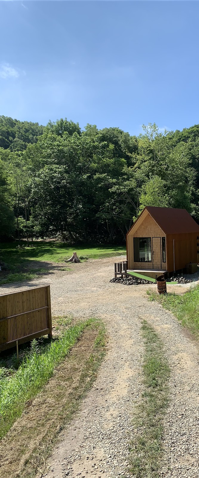 Anazaasukaikyanpingufiirudo