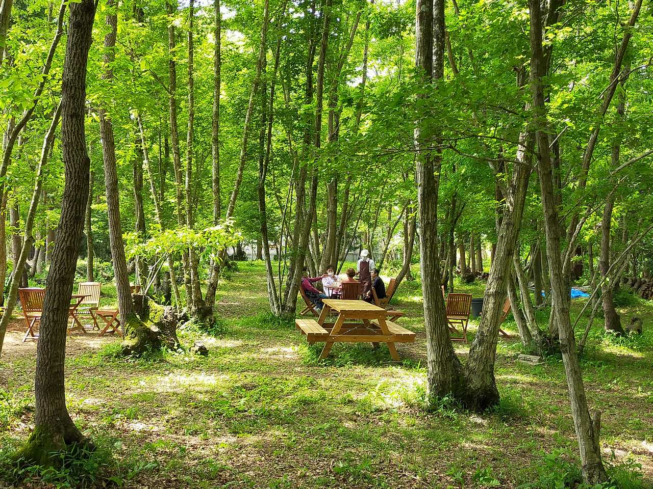 Hoshino Farm Kunugino Ikoi Forest Campground InTaka Taki Mizuumi