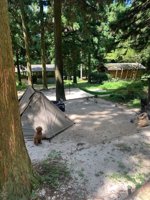 Eboshi Gaku Wood Park Kanritou