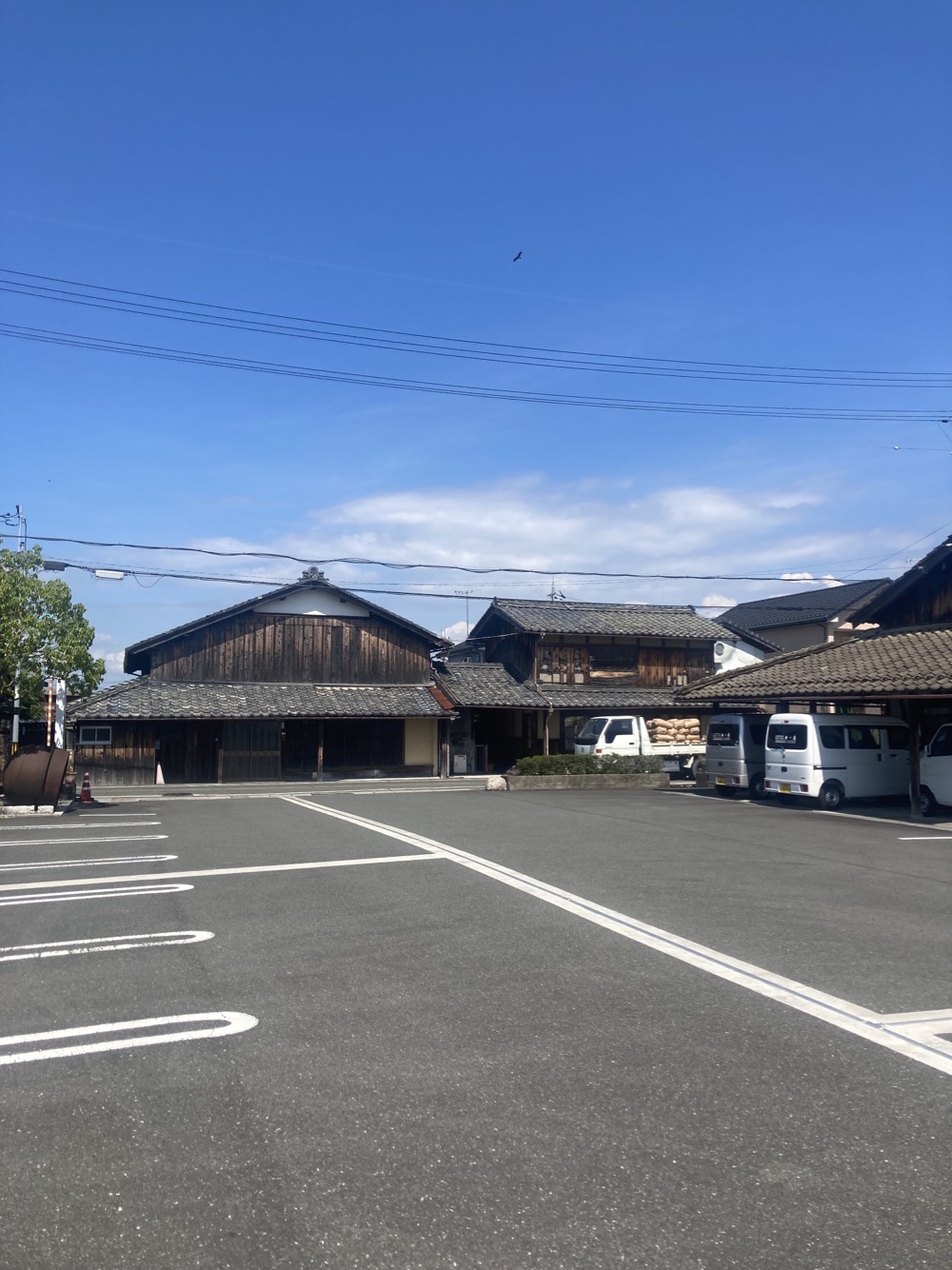 Bush Camp Site Kawashima Shuzou