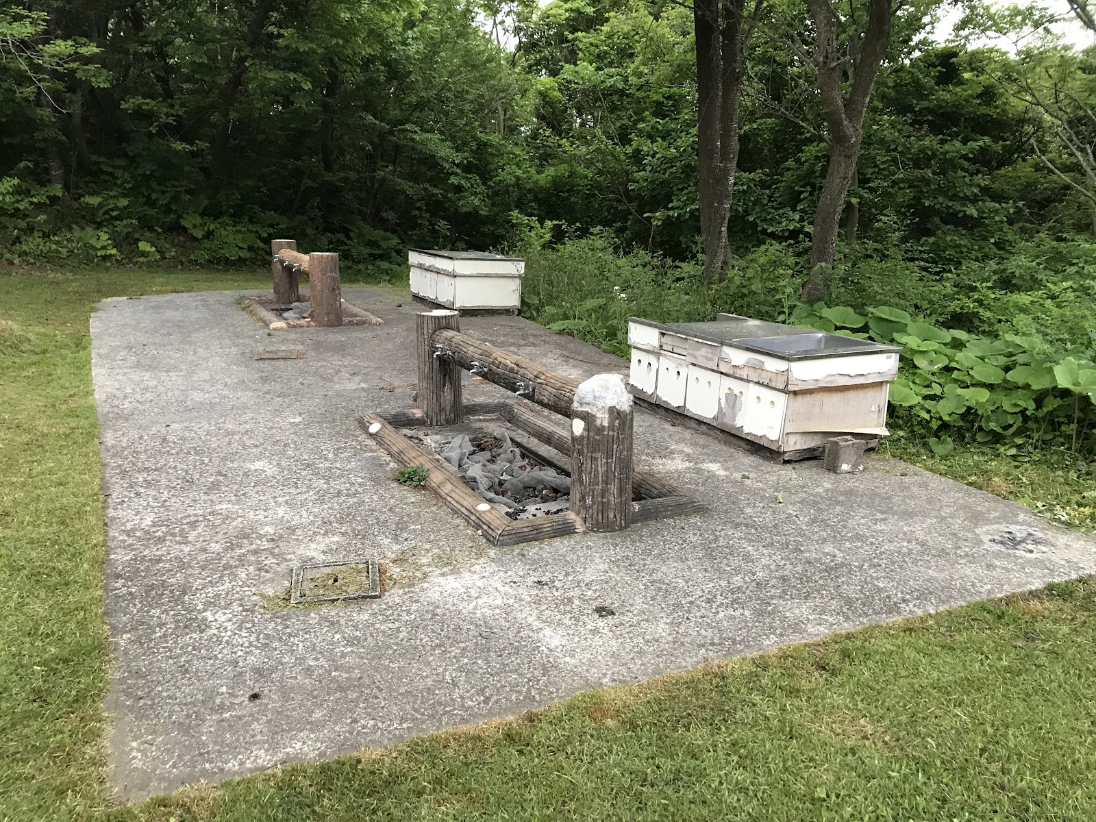 Akitashi Oomori Yama Park Campground