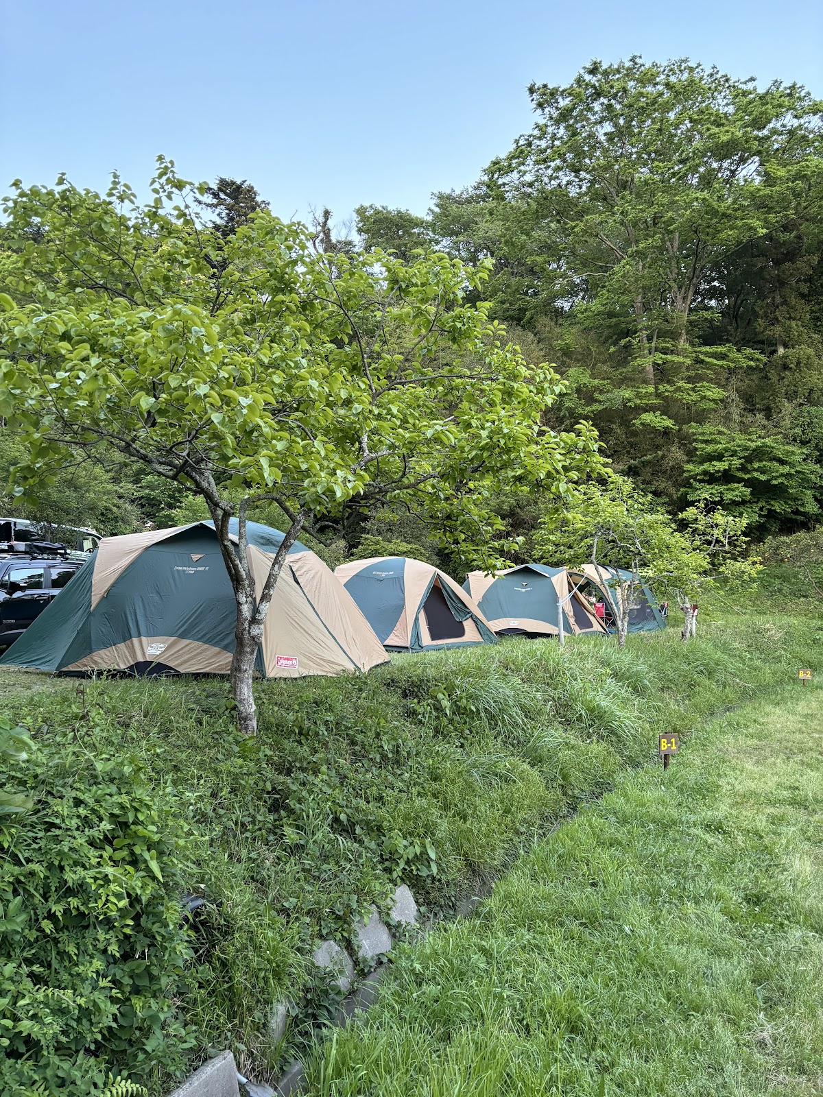 Hana Hana Village Auto Campground