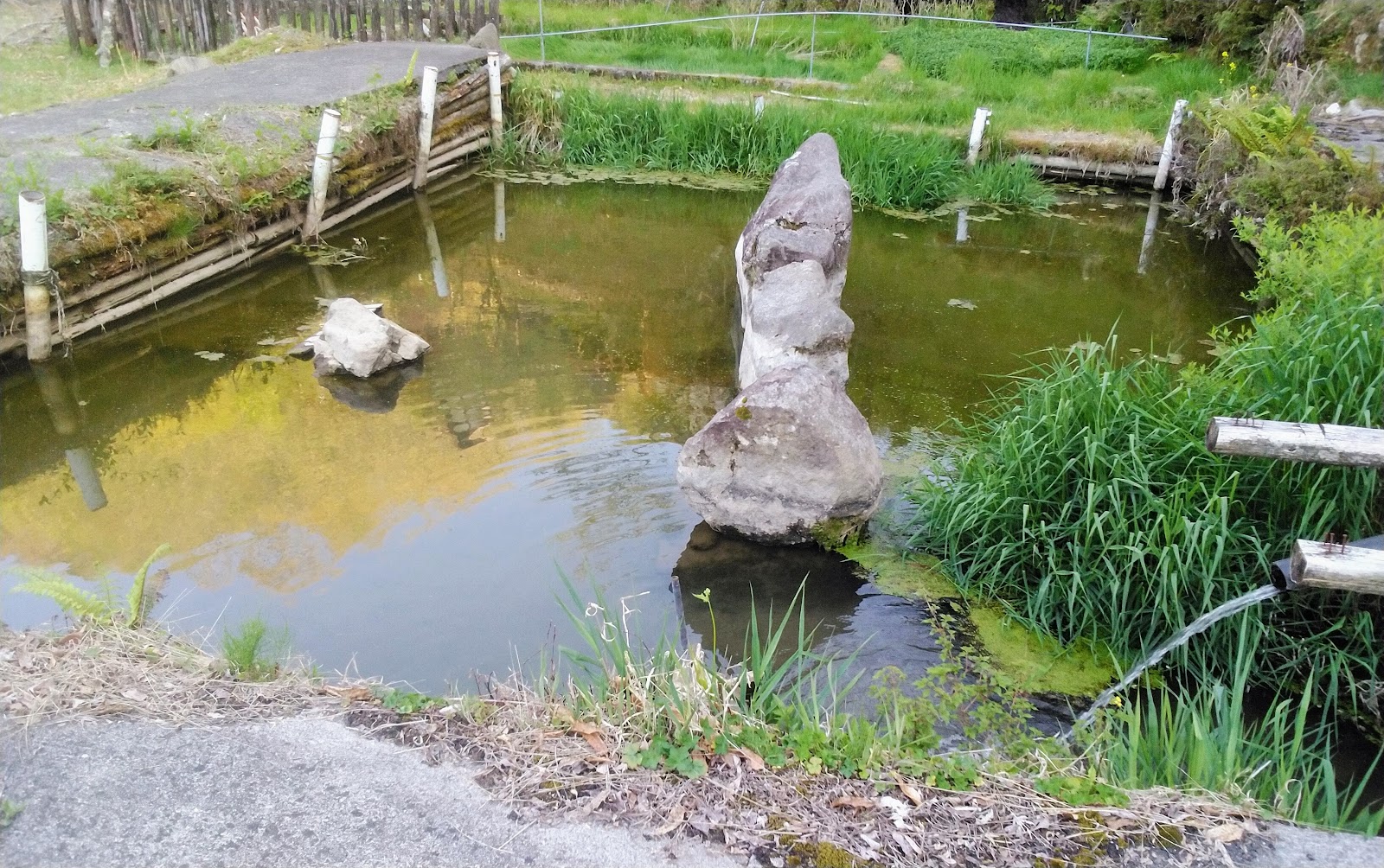 Rinkan Quảng trường Lều Ba