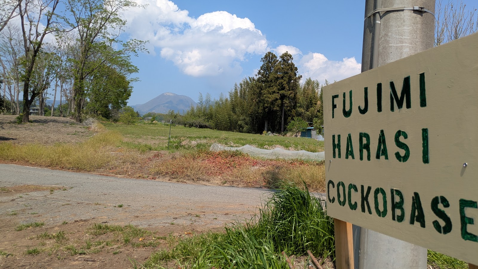 富士見晴らcockobase
