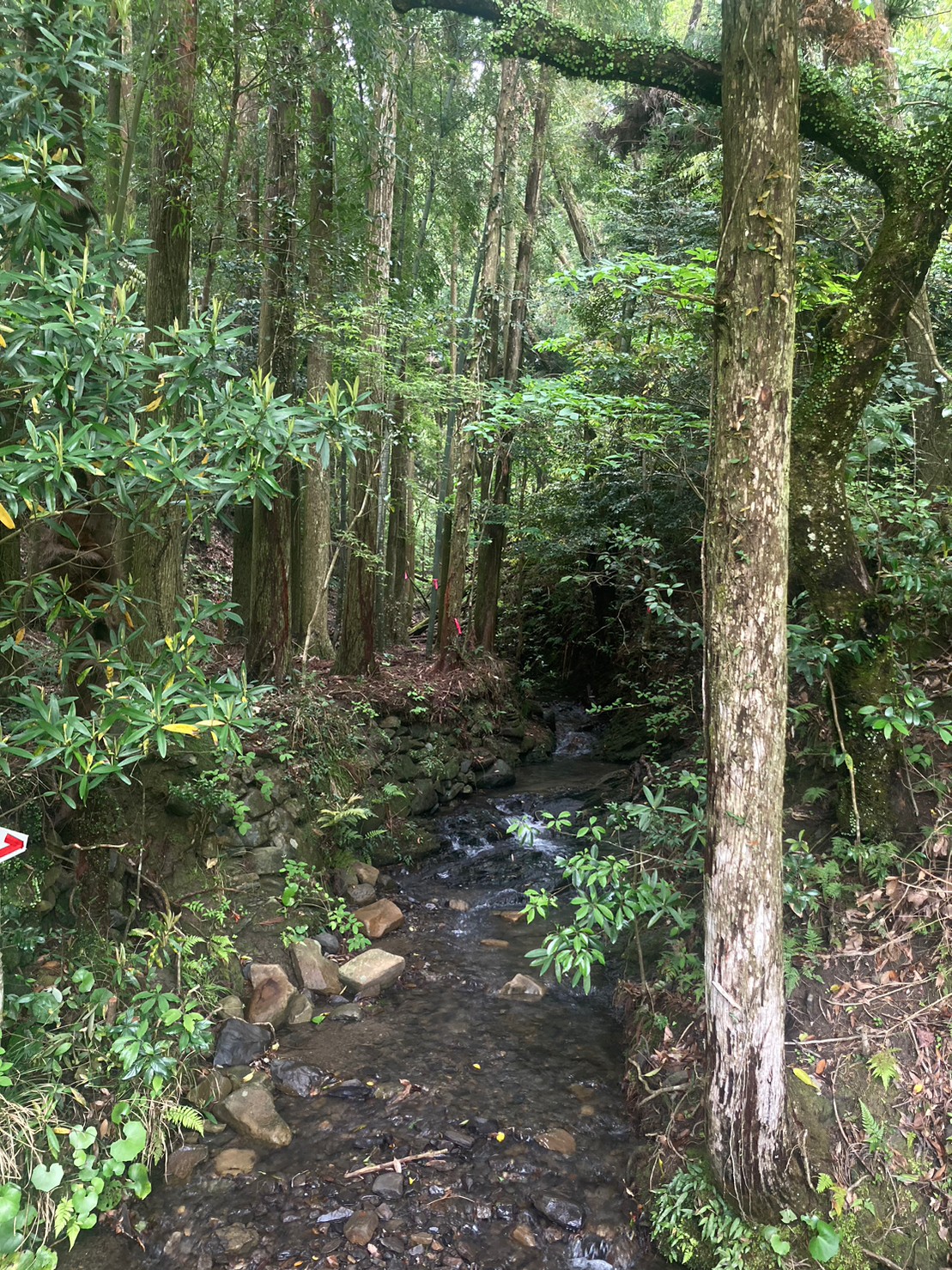 Khu cắm trại Tashiro Công viên