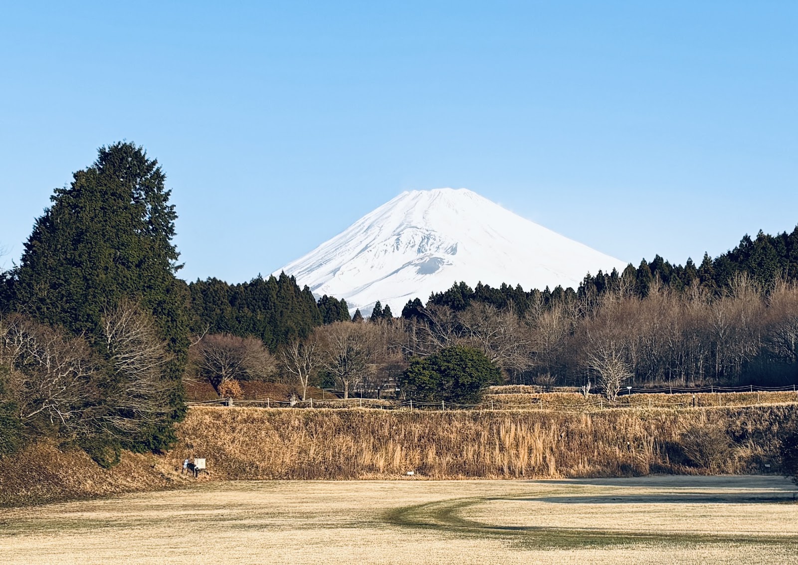 JuurigiBASE Campground