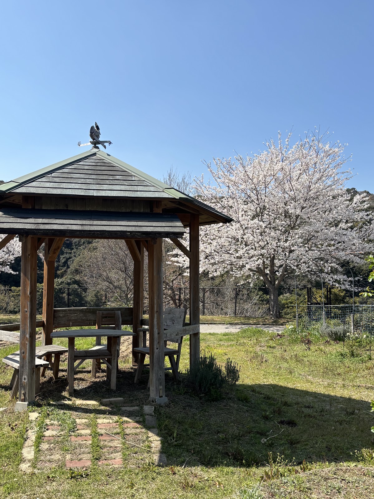 アクトビレッジおの キャンプ場