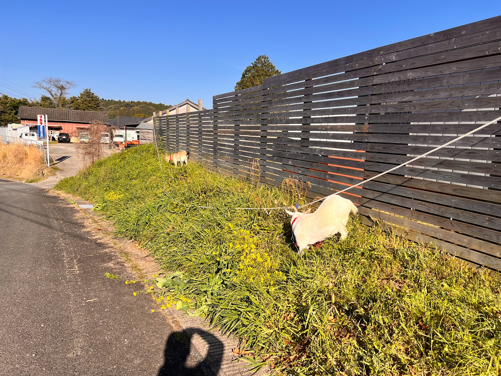 俺のキャンプ場