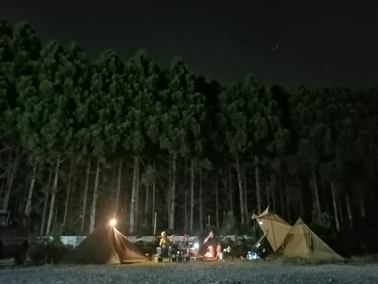 JUNGLE CAMP&BBQ