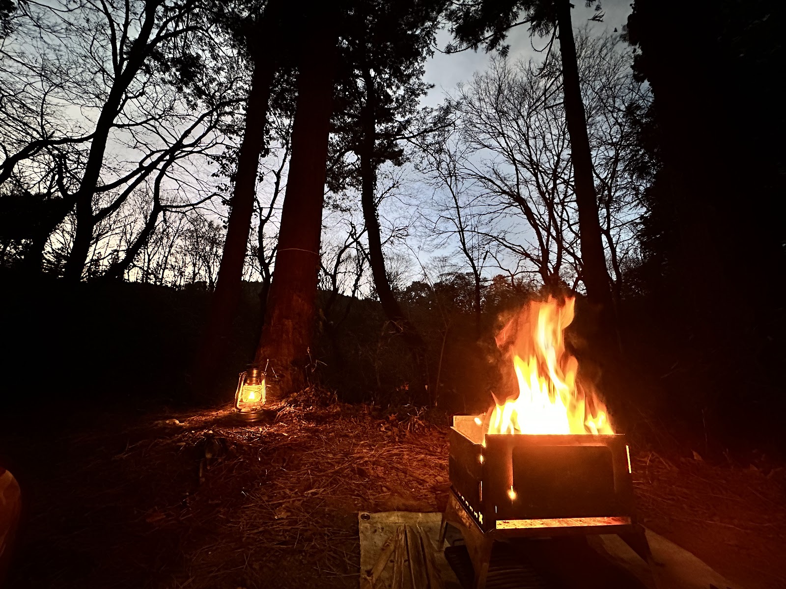 月川荘キャンプ場 林間サイト