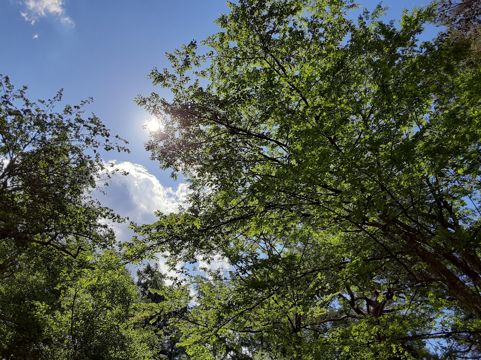 Khu cắm trại Dai3