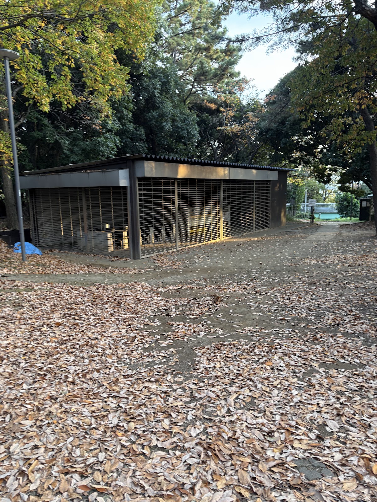 品川区キャンプ場