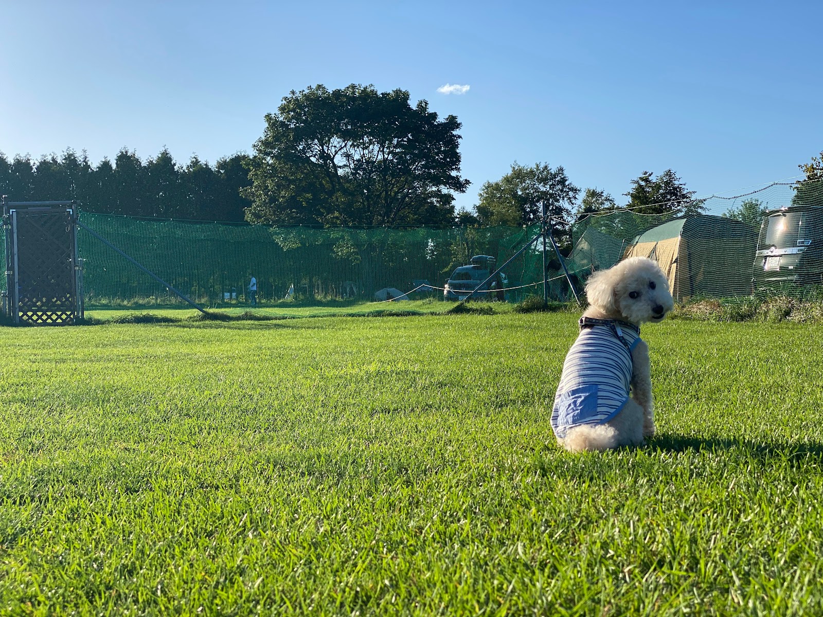 Khu cắm trại Meipuru Dogguran