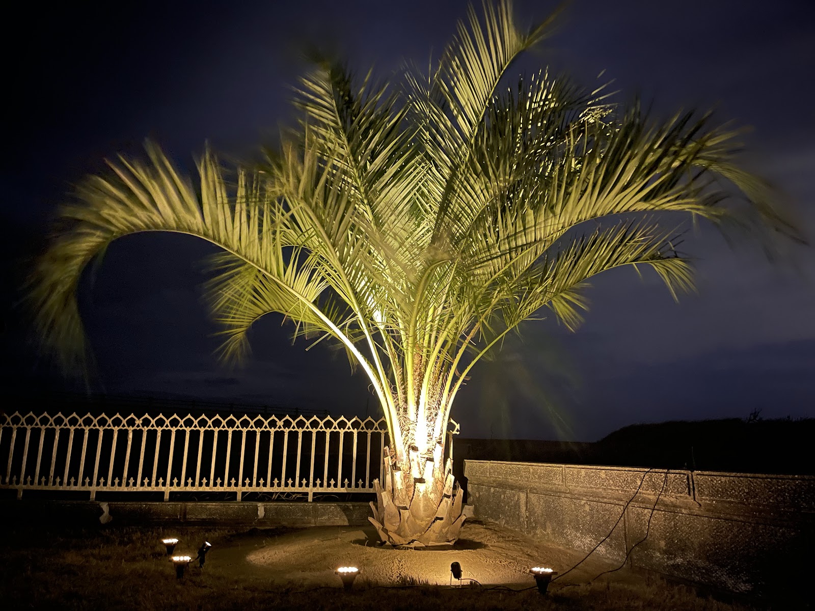 Surf & Turf MALIBU【Saafuandotaafumaribu】