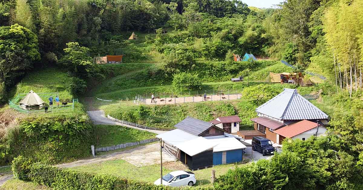 Out Tail Dog Camp TATEYAMA