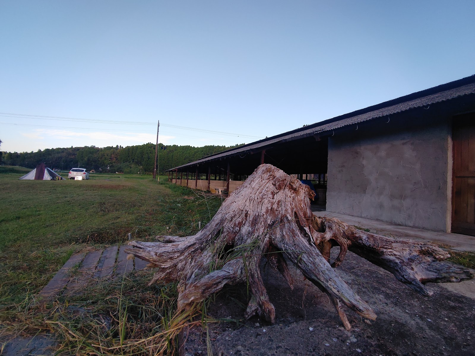Khu cắm trại Chiba No Yaei 【NB forest camp】